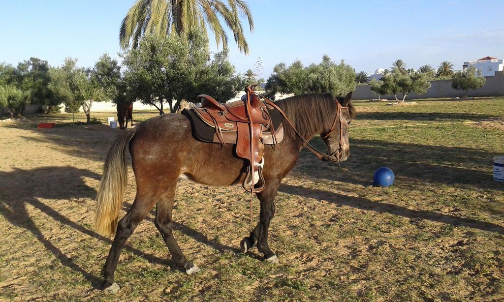 Aghīr Menzel Churasco Djerba מראה חיצוני תמונה